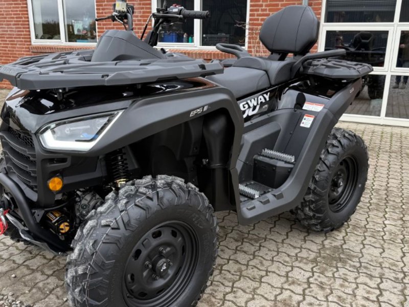 ATV & Quad типа Sonstige AT10 Premium 1000 ccm Lang model, Gebrauchtmaschine в Hadsten (Фотография 1)