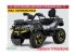 ATV & Quad типа Sonstige BLADE 1000 MAX ABS T3 ICE SILBER MATT/GELB, Neumaschine в Wolfpassing (Фотография 1)