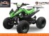 ATV & Quad des Typs Sonstige Gepard Gepard Midi quad elektrische atv, Neumaschine in HARDENBERG (Bild 5)