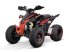 ATV & Quad des Typs Sonstige Gepard Quads, Neumaschine in Budel (Bild 5)