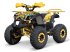 ATV & Quad Türe ait Sonstige Gepard Quads, Neumaschine içinde Budel (resim 5)