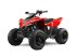 ATV & Quad Türe ait Sonstige Gepard Quads, Neumaschine içinde Budel (resim 3)