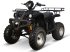 ATV & Quad des Typs Sonstige Gepard Quads, Neumaschine in beesd (Bild 8)