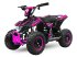 ATV & Quad typu Sonstige Gepard Quads, Neumaschine v Drachten (Obrázek 2)