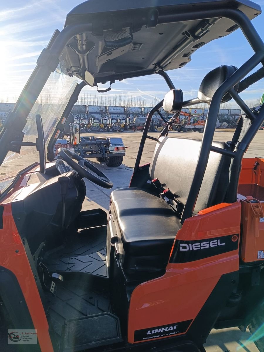 ATV & Quad Türe ait Sonstige Linhai LH1100D UTV, Gebrauchtmaschine içinde Dimbach (resim 2)