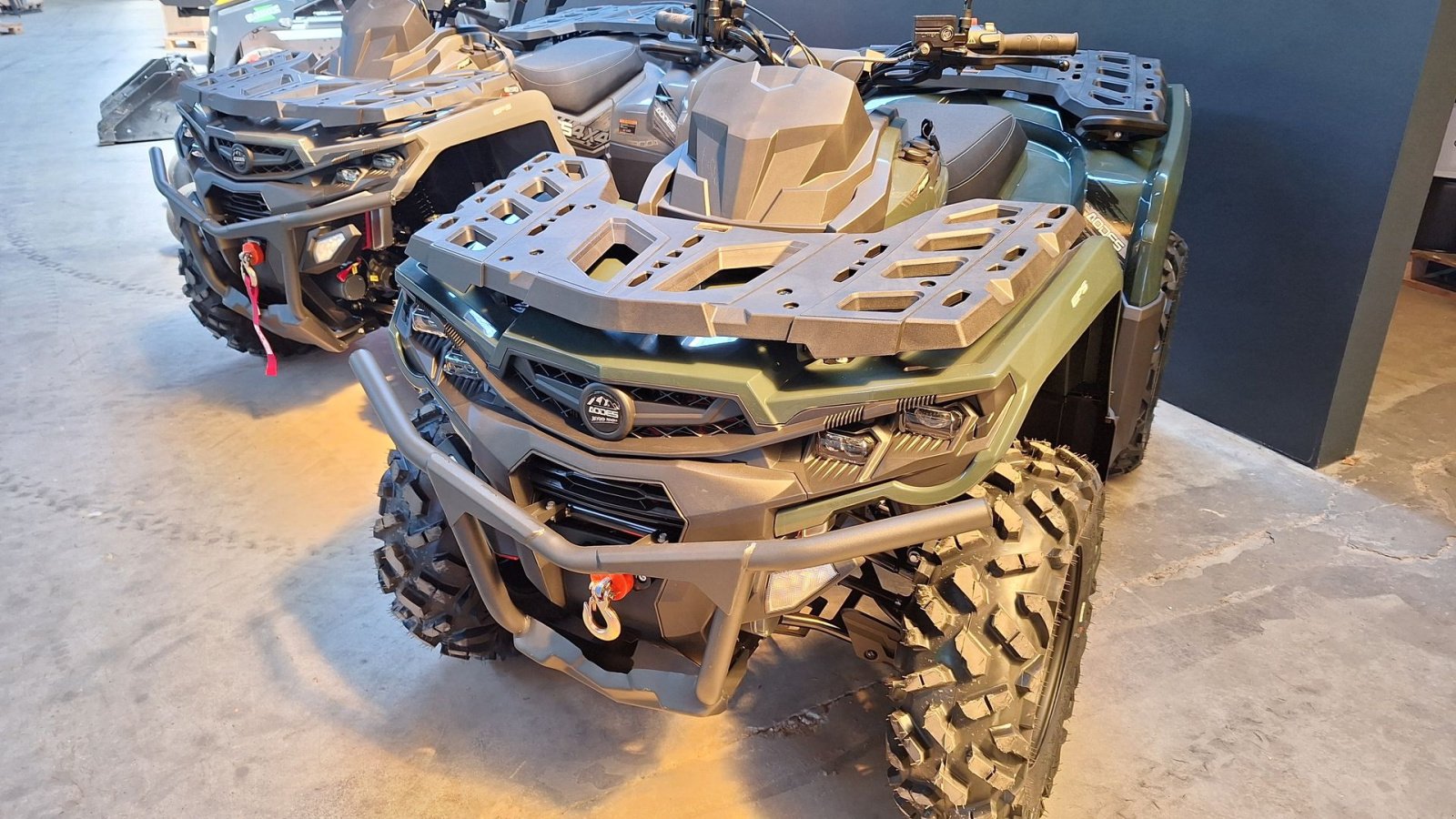 ATV & Quad des Typs Sonstige PATHCROSS 650 S (T3A) fabriks ny, Gebrauchtmaschine in Rødekro (Bild 3)