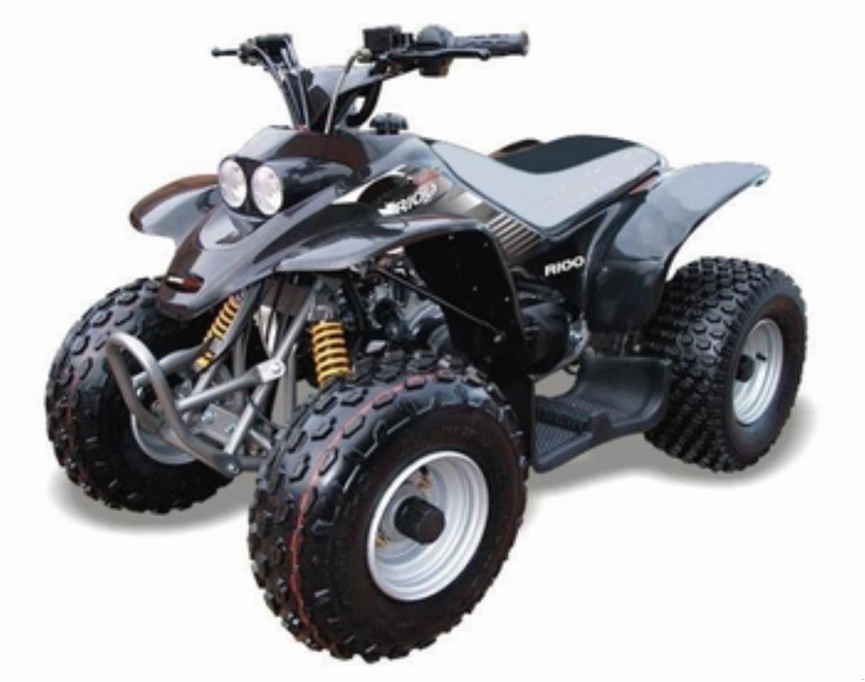 ATV & Quad tipa Sonstige R100 SPORT, Gebrauchtmaschine u Jelling (Slika 1)