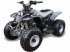 ATV & Quad des Typs Sonstige R100 SPORT, Gebrauchtmaschine in Videbæk (Bild 1)