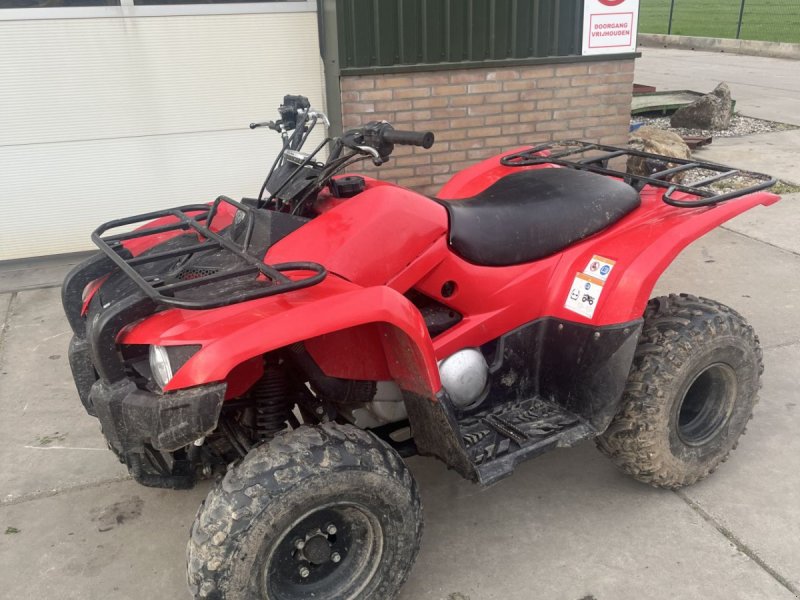 ATV & Quad of the type Sonstige Yahmaha Grizzly 300, Gebrauchtmaschine in Wadenoijen (Picture 1)
