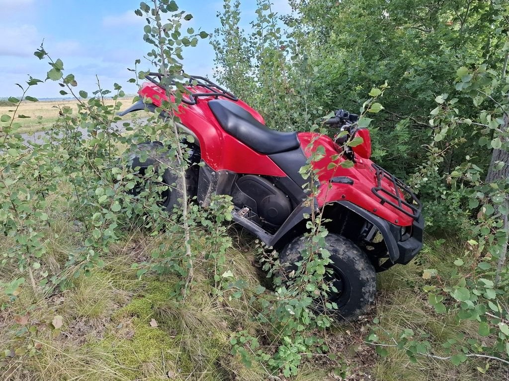 ATV & Quad des Typs Suzuki Kingquad 750 I.R.S 50pk, Gebrauchtmaschine in Kolham (Bild 4)