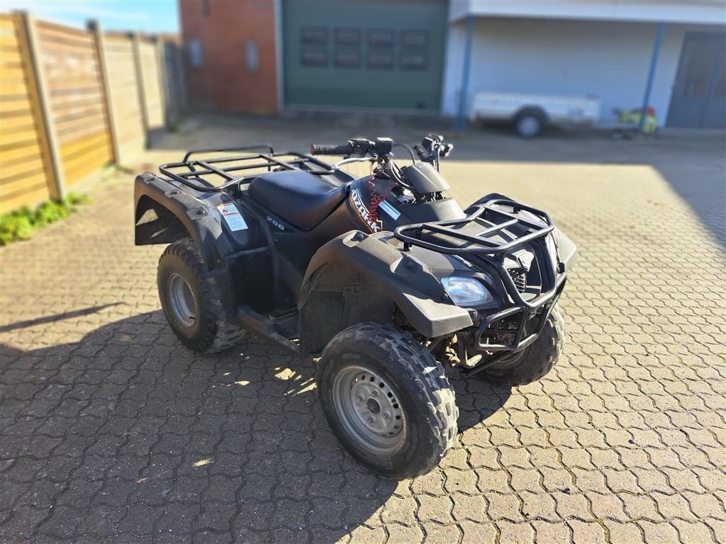 ATV & Quad des Typs Suzuki LT-F250 Gårdmaskine ikke ræs, Gebrauchtmaschine in Thyholm (Bild 1)