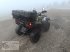ATV & Quad des Typs TGB Quad TGB Blade 550, Gebrauchtmaschine in Dimbach (Bild 4)