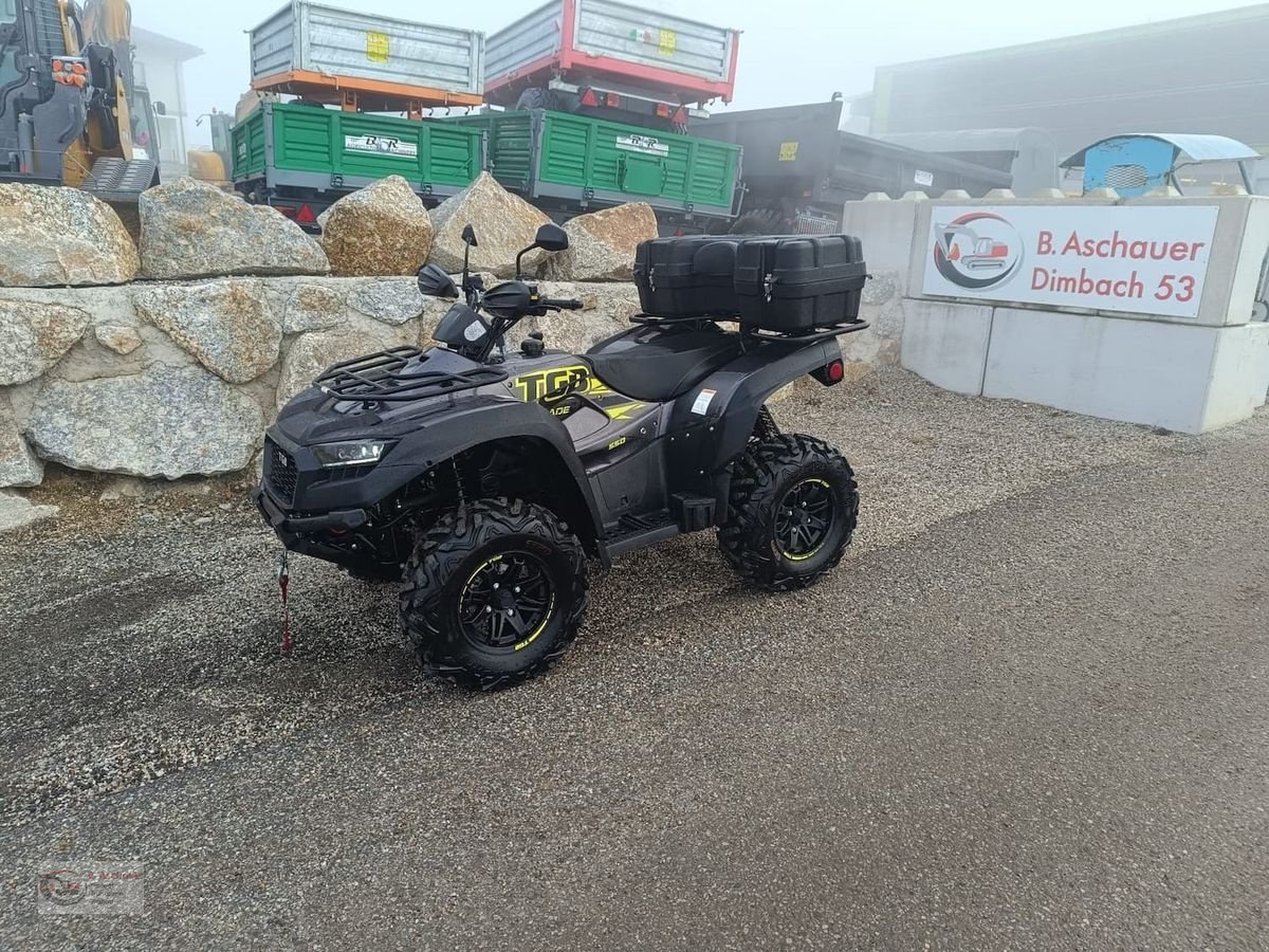 ATV & Quad des Typs TGB Quad TGB Blade 550, Gebrauchtmaschine in Dimbach (Bild 1)