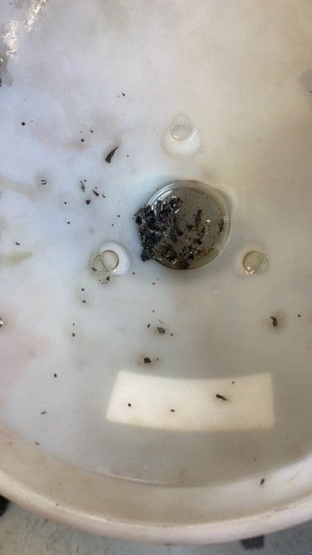 ATV & Quad typu Yamaha -, Gebrauchtmaschine w Reeuwijk (Zdjęcie 8)