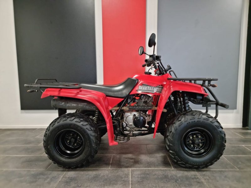 ATV & Quad des Typs Yamaha Beartracker 250, Gebrauchtmaschine in Geesteren (OV) (Bild 1)