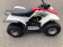 ATV & Quad des Typs Yamaha Kinder quad zeer netjes 125 cc, Gebrauchtmaschine in Scherpenzeel GLD (Bild 2)