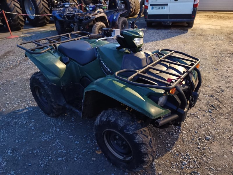 ATV & Quad des Typs Yamaha QUAD, Gebrauchtmaschine in Le Horps (Bild 1)