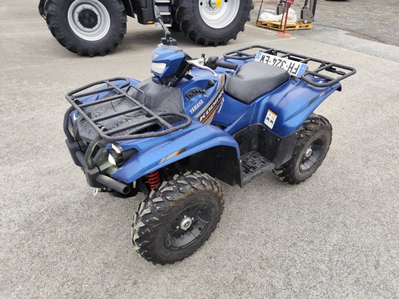 ATV & Quad des Typs Yamaha QUAD, Gebrauchtmaschine in Le Horps (Bild 1)