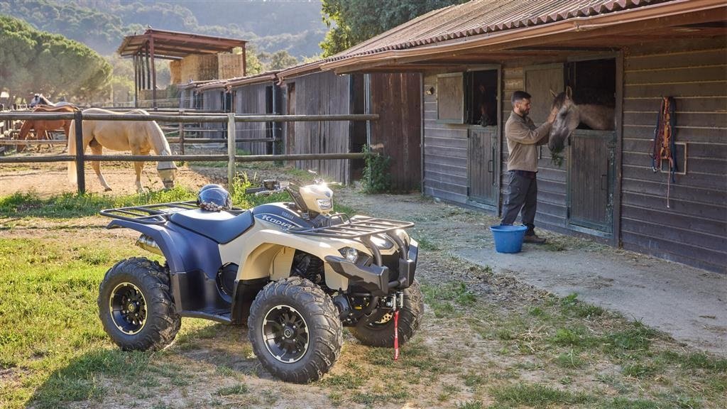 ATV & Quad типа Yamaha YFM450 Kodiak EPS ALU Traktormodel, Gebrauchtmaschine в Havndal (Фотография 6)