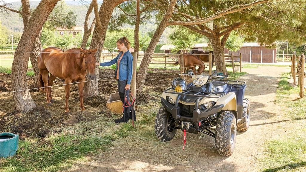 ATV & Quad типа Yamaha YFM450 Kodiak EPS ALU Traktormodel, Gebrauchtmaschine в Havndal (Фотография 5)