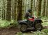 ATV & Quad типа Yamaha YFM700 GRIZZLY EPS ALU Traktormodel, Gebrauchtmaschine в Havndal (Фотография 4)