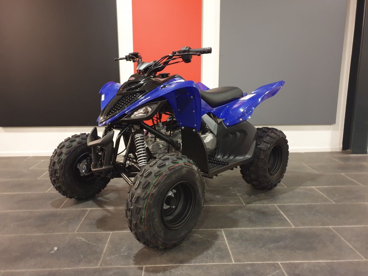 ATV & Quad des Typs Yamaha YFM90R, Neumaschine in Geesteren (OV) (Bild 4)