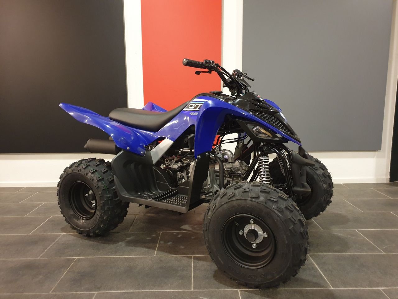 ATV & Quad типа Yamaha YFM90R, Neumaschine в Geesteren (OV) (Фотография 9)