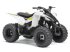 ATV & Quad of the type Yamaha YFZ50, Gebrauchtmaschine in Havndal (Picture 2)