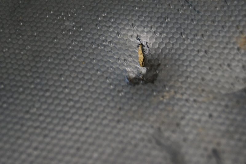 Aufbauten des Typs John Deere 3030, Gebrauchtmaschine in Hemmet (Bild 9)