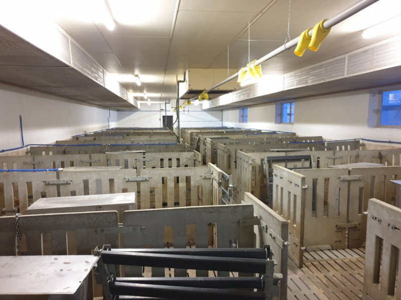 Aufstallung gebraucht & gebrauchte Aufstallungen technikboerse.at