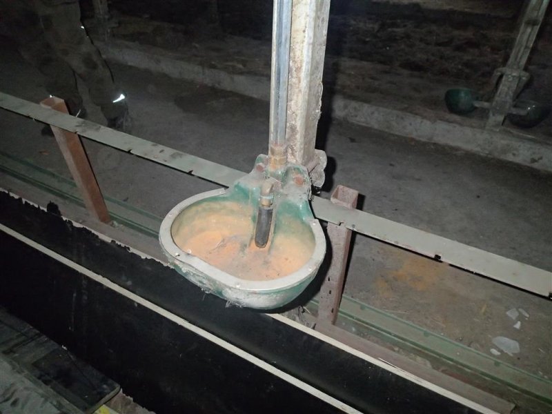 Aufstallung vrste Sonstige drikkekopper, Gebrauchtmaschine v Egtved (Slika 1)