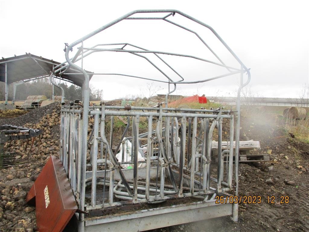 Aufstallung des Typs Sonstige Foderhæk med fanggitter, Gebrauchtmaschine in Høng (Bild 2)