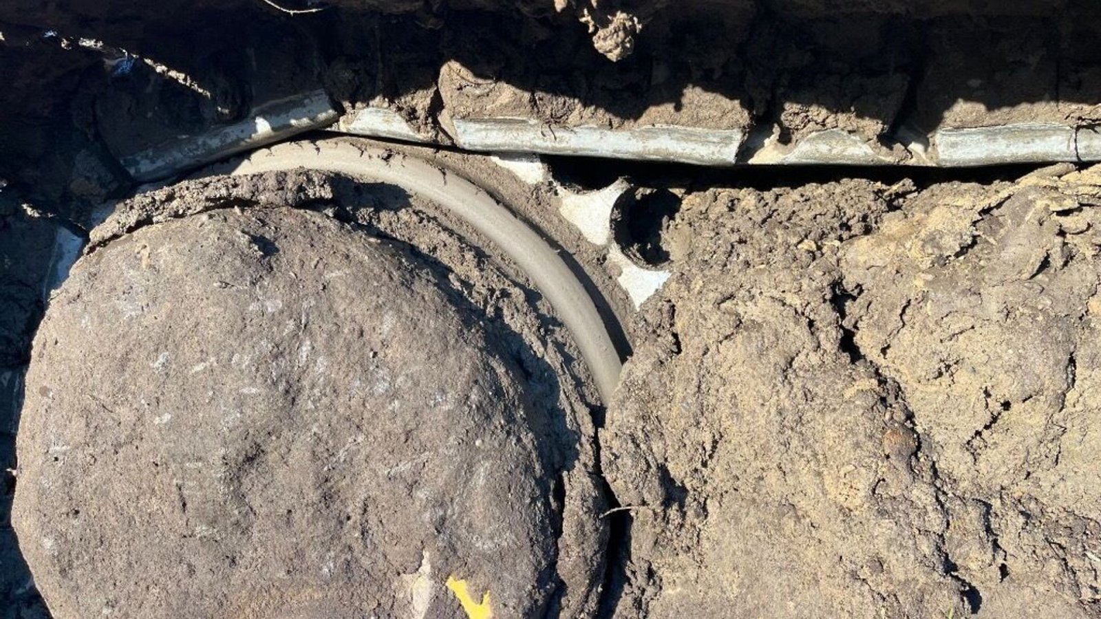 Baggerlader του τύπου Komatsu D 65 PX 16 Dozer, Gebrauchtmaschine σε Rødovre (Φωτογραφία 5)