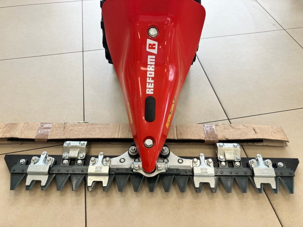 Balkenmäher Türe ait Reform Motech CM816, Neumaschine içinde St. Pölten (resim 6)