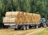 Ballensammelwagen des Typs CYNKOMET Ballentransportwagen / bale platform, Neumaschine in Michałowo (Bild 5)