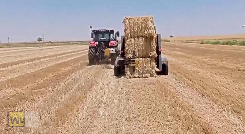 Ballensammelwagen του τύπου Sonstige Ballenstapler, Neumaschine σε Metelen (Φωτογραφία 17)