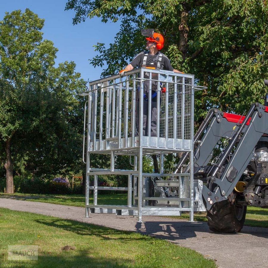 Ballenzange des Typs Fliegl Arbeitskorb mit Erhöhung Euro und Palettengabel, Neumaschine in Burgkirchen (Bild 10)