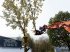 Baumschere του τύπου TREE HUGGER TH 2500-X Fällgreifer /Baumschere für Bagger inkl. SPEED CUT & Sammelgreifer, Gebrauchtmaschine σε Schmallenberg (Φωτογραφία 14)