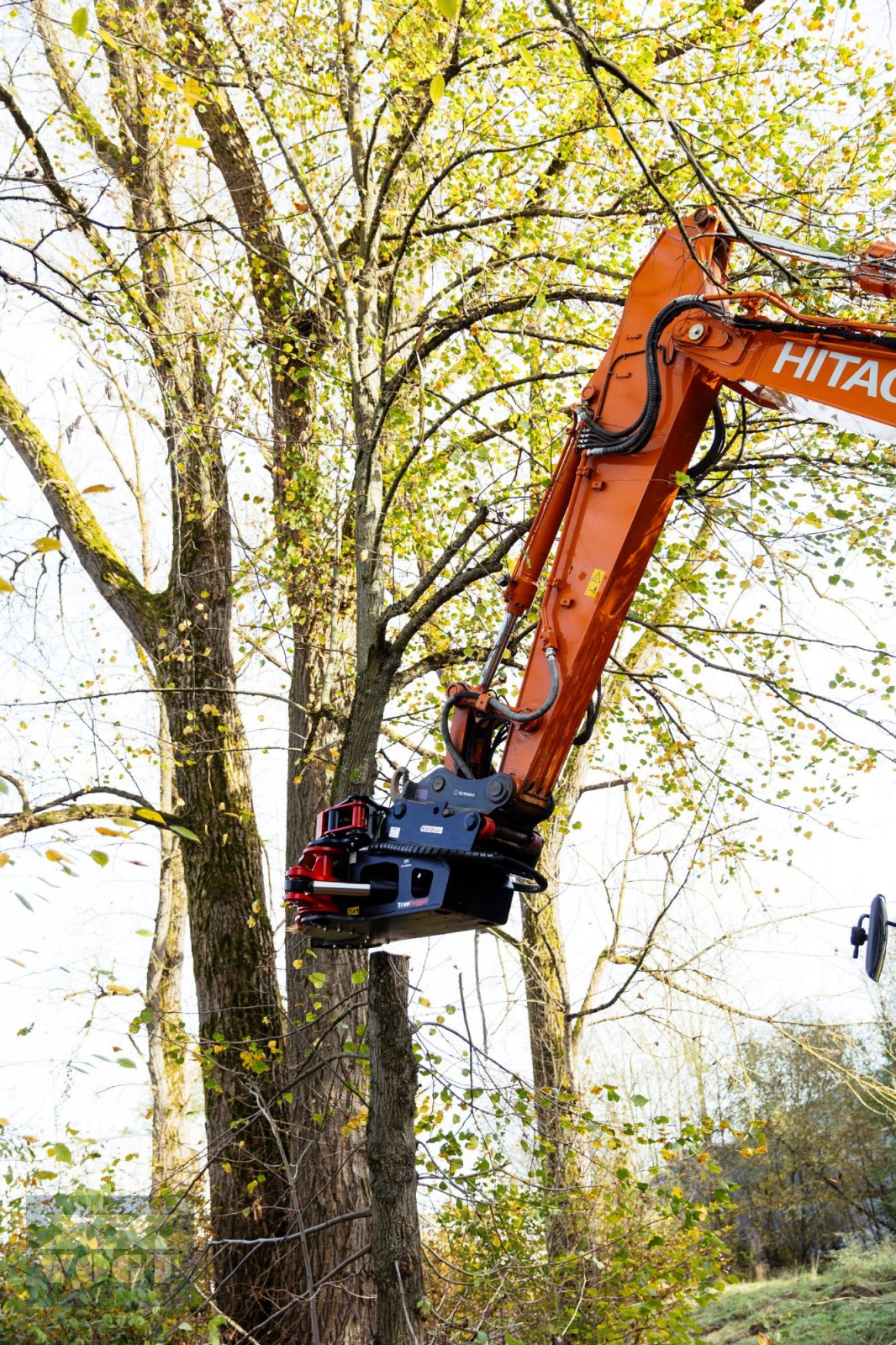 Baumschere des Typs TREE HUGGER TH 4000 S Fällgreifer /Baumschere /Fällkopf für Bagger-Aktionsangebot-, Neumaschine in Schmallenberg (Bild 13)