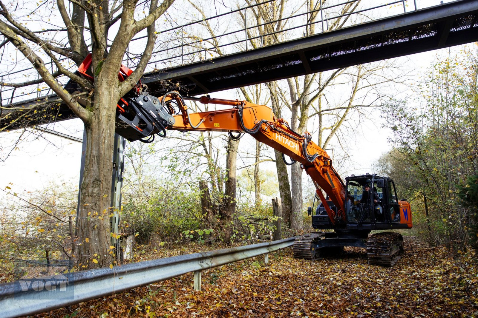 Baumschere des Typs TREE HUGGER TH 4000 S Fällgreifer /Baumschere /Fällkopf für Bagger-Aktionsangebot-, Neumaschine in Schmallenberg (Bild 15)