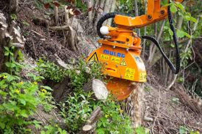 Baumstumpffräse van het type Mulag BSF500, Mietmaschine in Wiedemar (Foto 1)