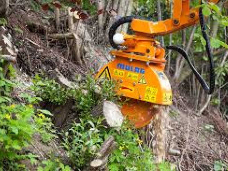 Baumstumpffräse van het type Mulag BSF500, Mietmaschine in Wiedemar