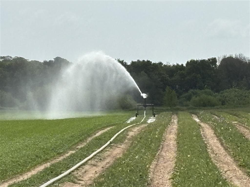 Beregnungsanlage a típus Sonstige 5 TT2 Sælges for kunde., Gebrauchtmaschine ekkor: Gram (Kép 5)
