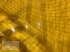 Betonmischer typu Vemac Betonmischer 600 800 1200 1800 Liter Futtermischer Mischer Mixer Zwangsmischer NEU, Neumaschine w Sülzetal OT Osterweddingen (Zdjęcie 10)