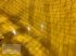 Betonmischer типа Vemac Betonmischer 600 800 1200 1800 Liter Futtermischer Mischer Mixer Zwangsmischer NEU, Neumaschine в Sülzetal OT Osterweddingen (Фотография 10)