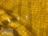 Betonmischer des Typs Vemac Betonmischer 800 1200 1800 Liter Futtermischer Mischer Mixer Zwangsmischer NEU, Neumaschine in Sülzetal OT Osterweddingen (Bild 10)