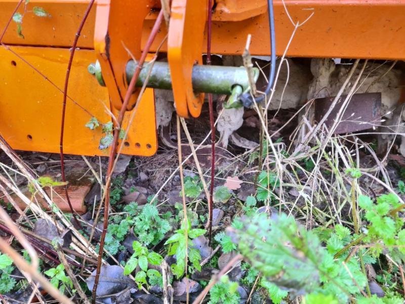 Bodenfräse des Typs Berti GIOVE280, Gebrauchtmaschine in BRAY en Val (Bild 6)