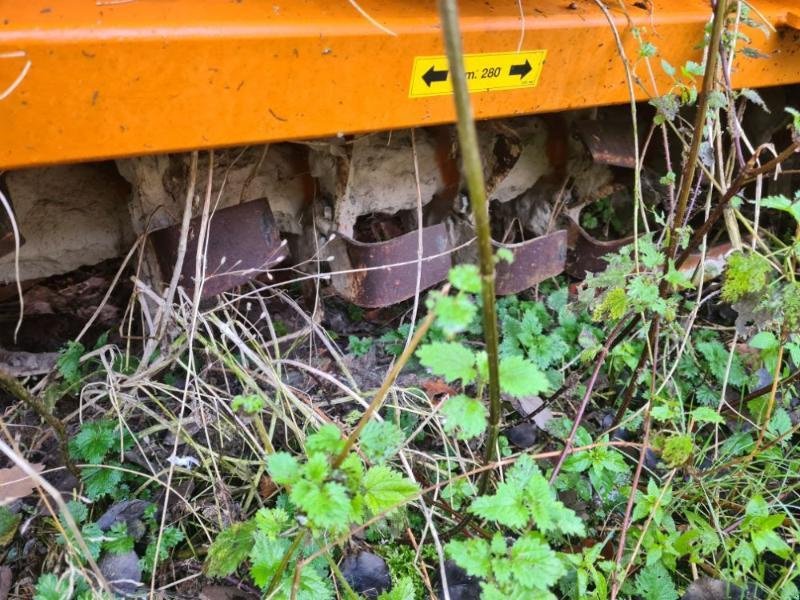 Bodenfräse des Typs Berti GIOVE280, Gebrauchtmaschine in BRAY en Val (Bild 5)