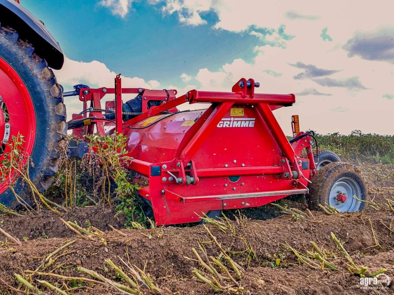 Bodenfräse za tip Grimme Toppa 400 4-row haulm topper, row width 75 cm, hydraulic height adjustment, 82 flails, Gebrauchtmaschine u Csengele (Slika 1)