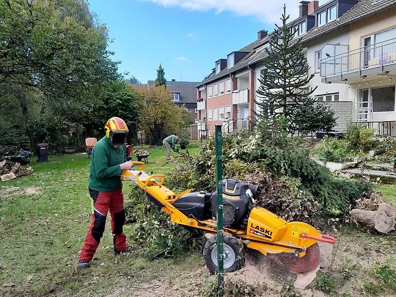 Bodenfräse of the type laski Stubbenfräse Baumstumpffräse Stockfräse Wurzelstockfräse, Gebrauchtmaschine in Schmallenberg (Picture 2)